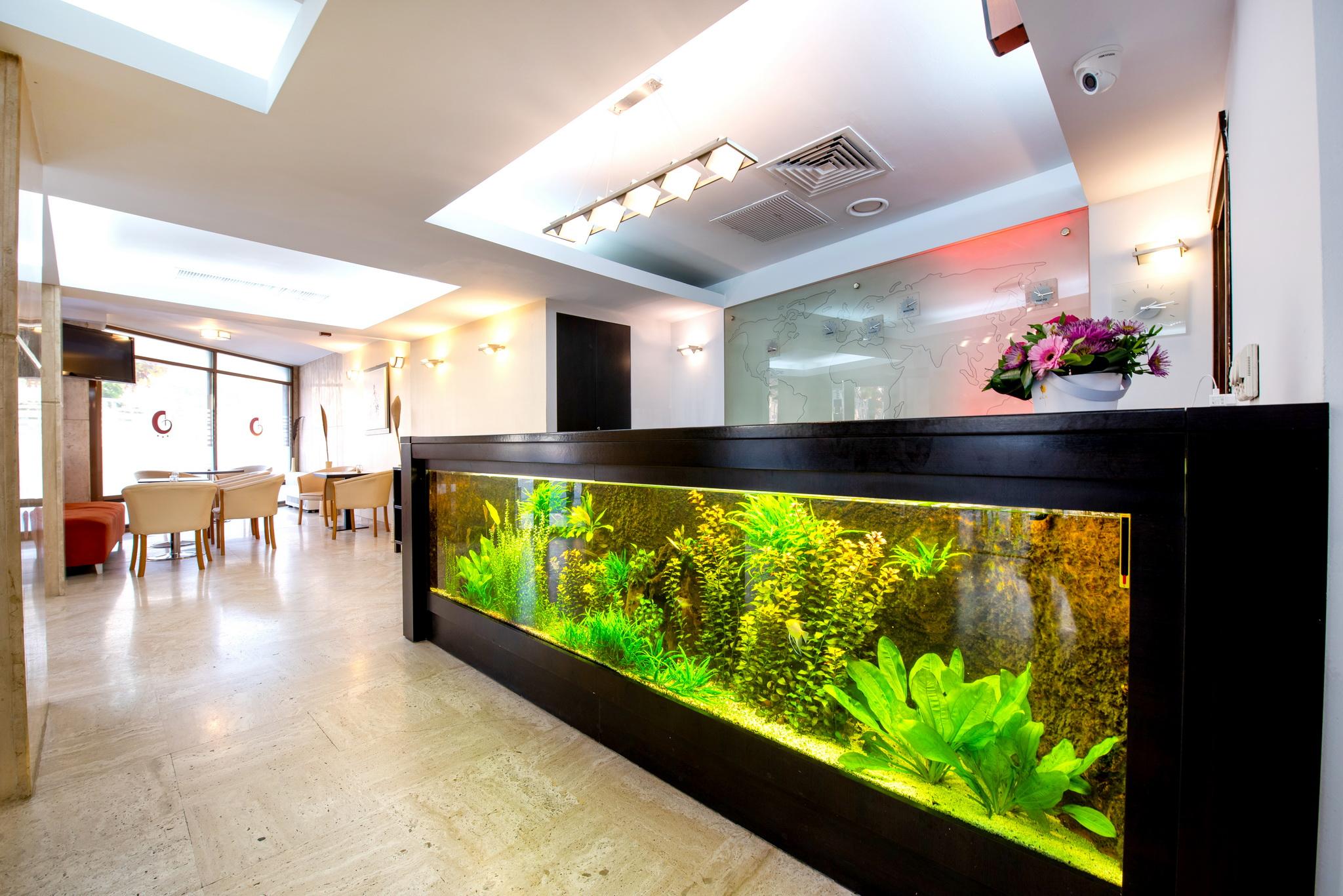 Vista Lobby Hotel Duke Armeneasca