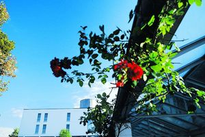 Alojamiento - Best Western Parkhotel Weingarten