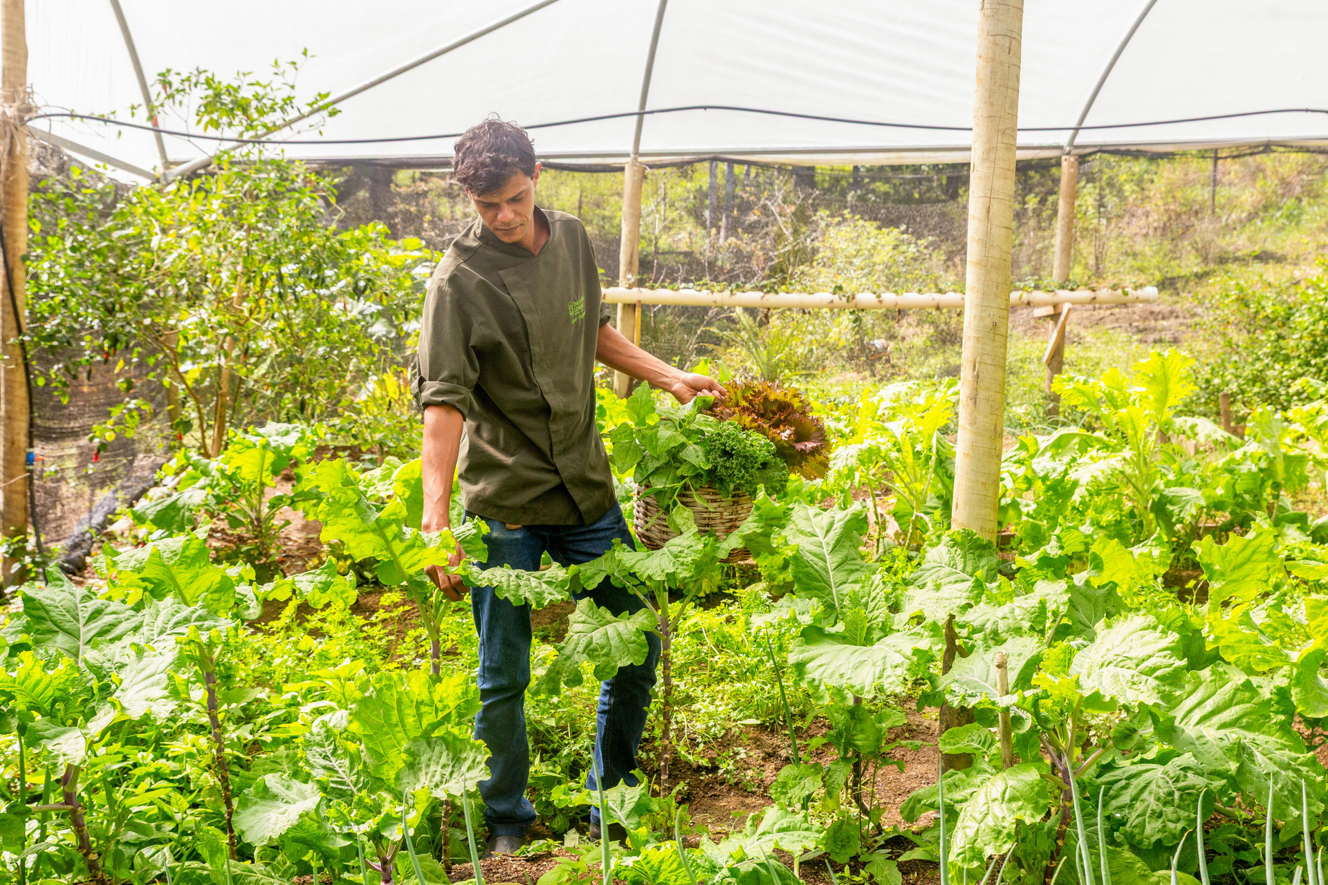 Instalaciones Recreativas Parador Lumiar Hotel & Spa