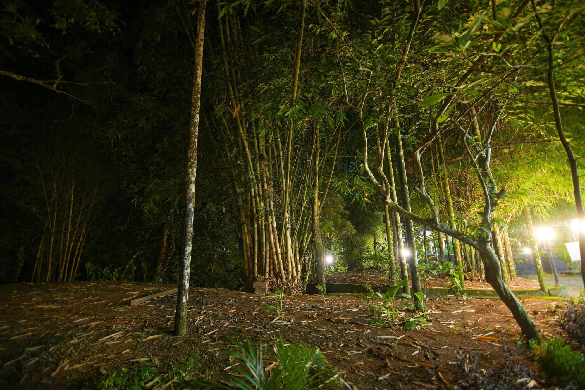 Vista Exterior B'camp Resorts & Homestays