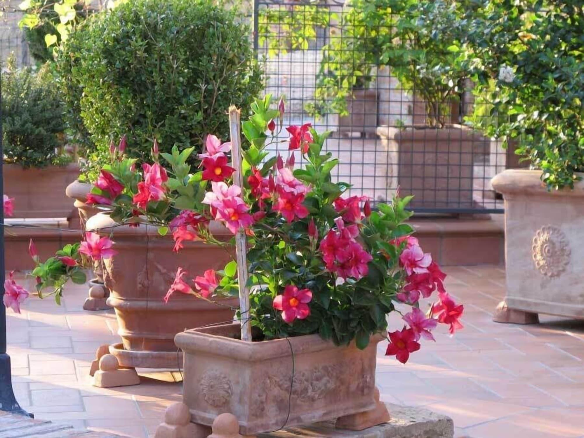 Comodidades del Alojamiento Agriturismo Il Colombaiolo