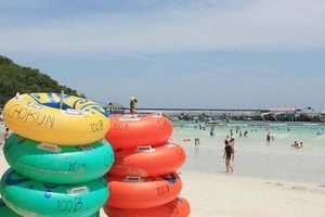 Actividad - Excursión a Coral Island en lancha rápida