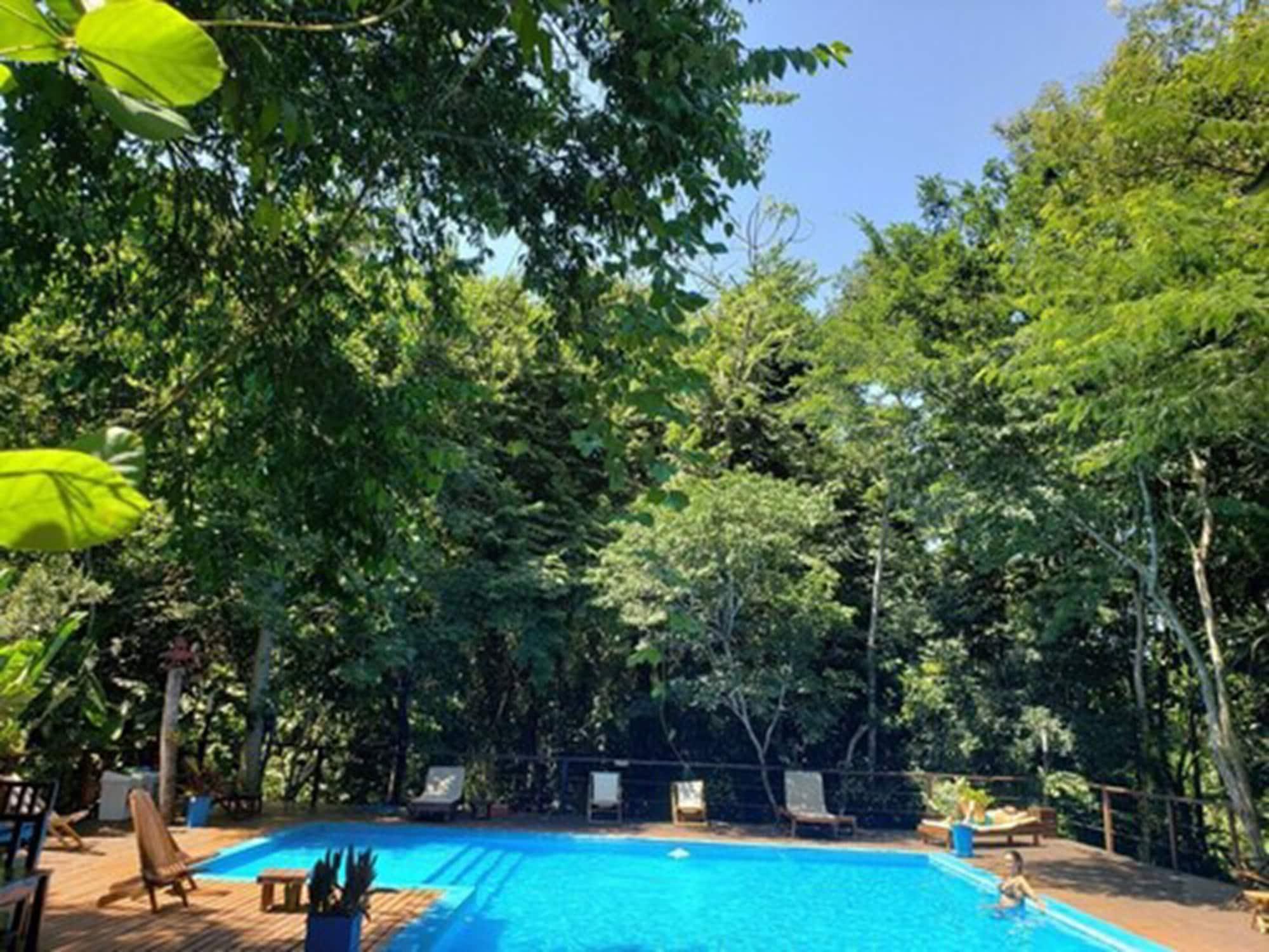 Varios Selva de Laurel
