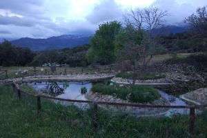 Alojamiento - Hotel Rural Finca Liceo