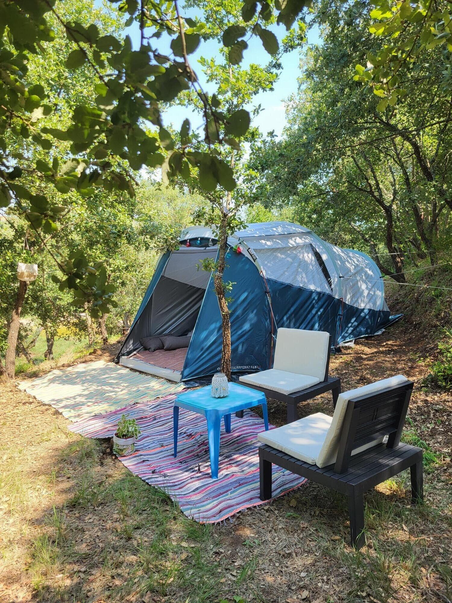 Habitación Quinta da Choupana
