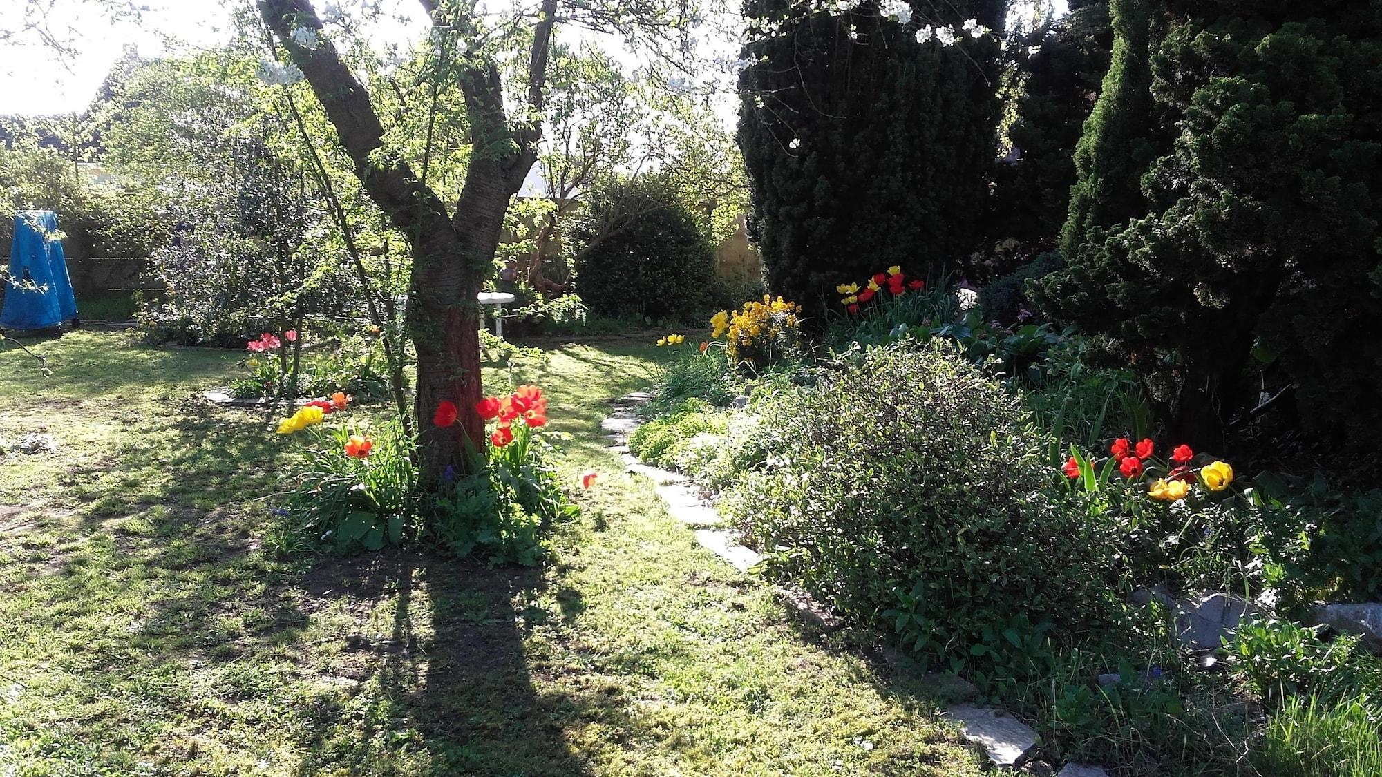 Vista Exterior Chambre du Jardin Fleuri