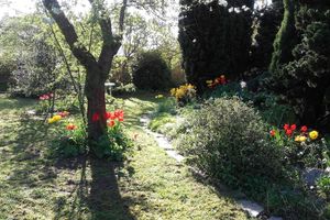 Alojamiento - Chambre du Jardin Fleuri