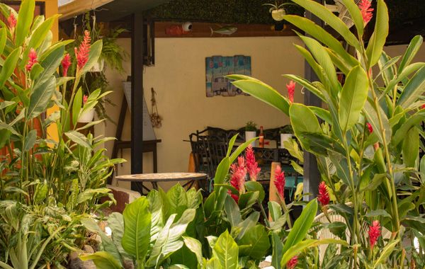 Lauras House - Hoteles 3 estrellas en Guanacaste, Costa Rica