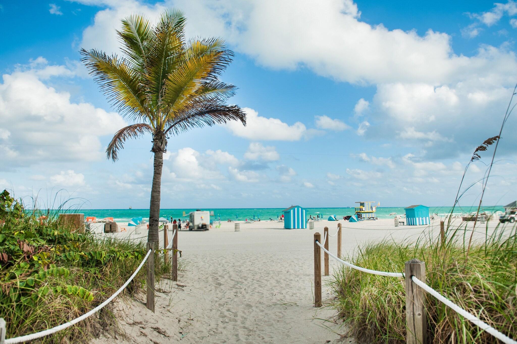 Playa Hyatt Centric South Beach Miami
