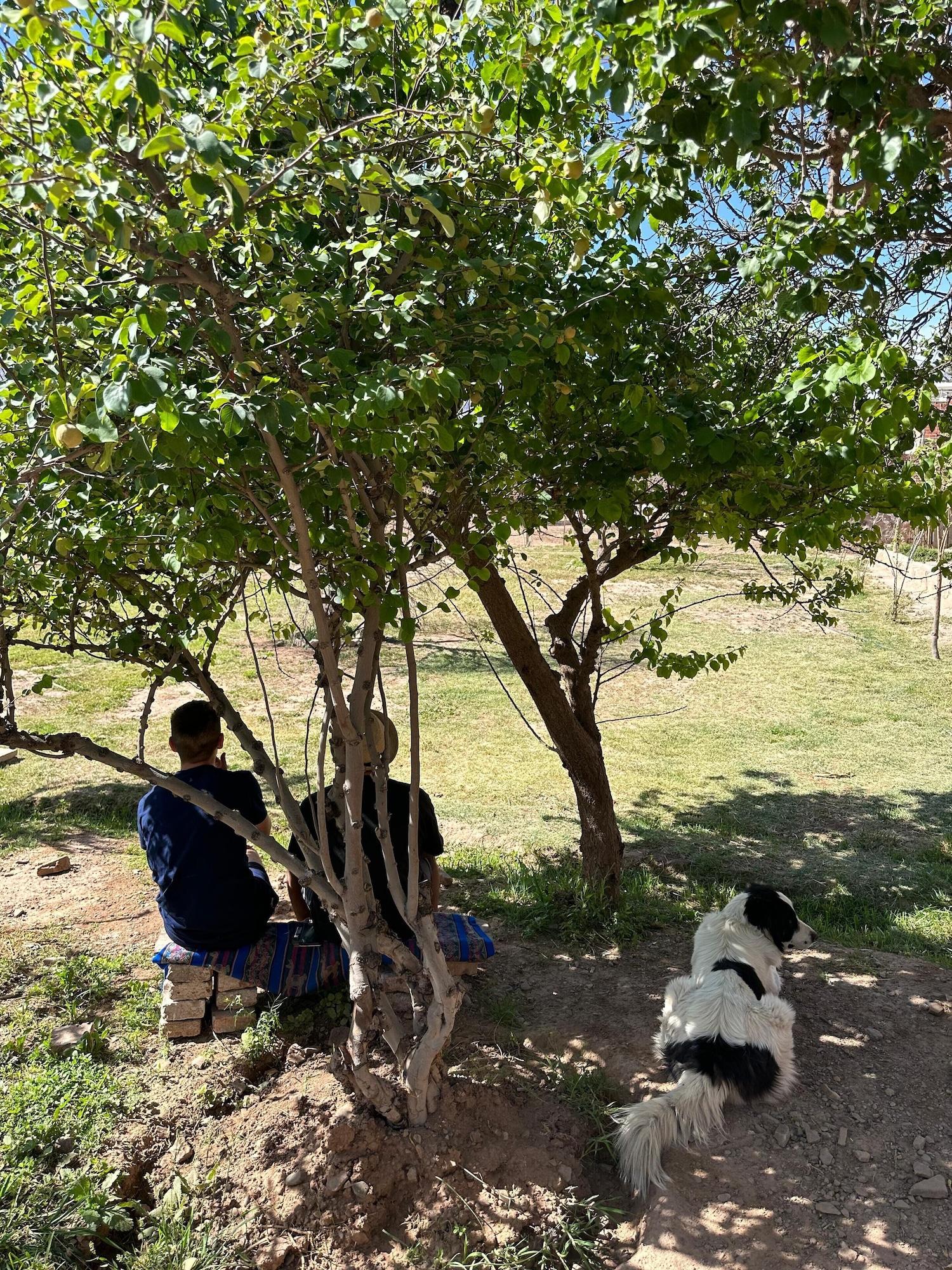 Equipamiento de Habitación El Convento de Tilcara Hostel