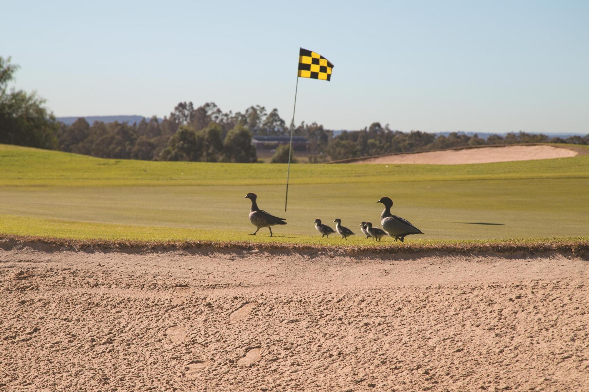 Vista Exterior Oaks Cypress Lakes Resort