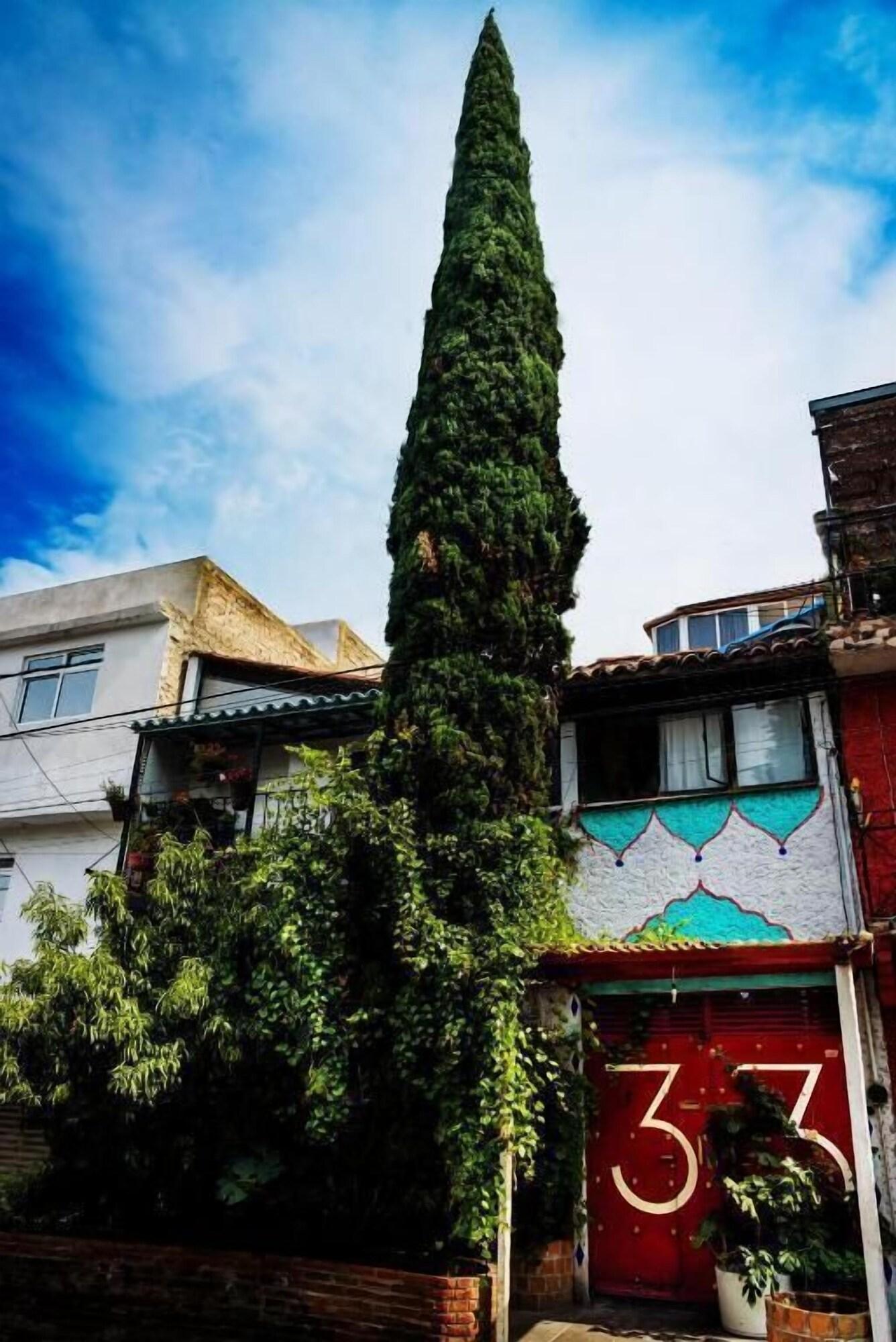 Vista Exterior Hostel Mexico DF Airport