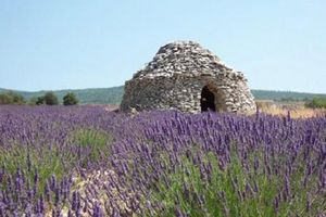 Actividad - Mercados y pueblos de Luberon - Desde Marsella