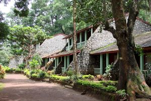 Alojamiento - Bison River Resort