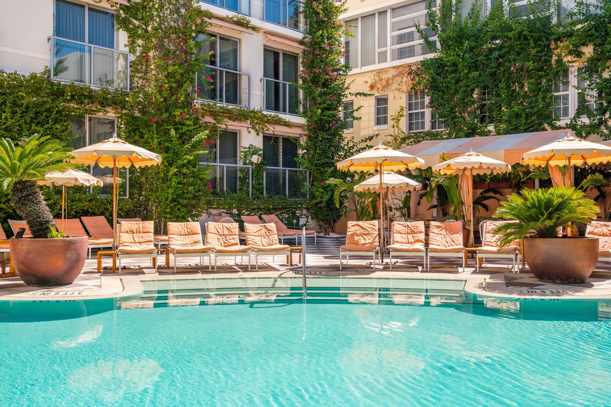 Vista Piscina The Plymouth South Beach