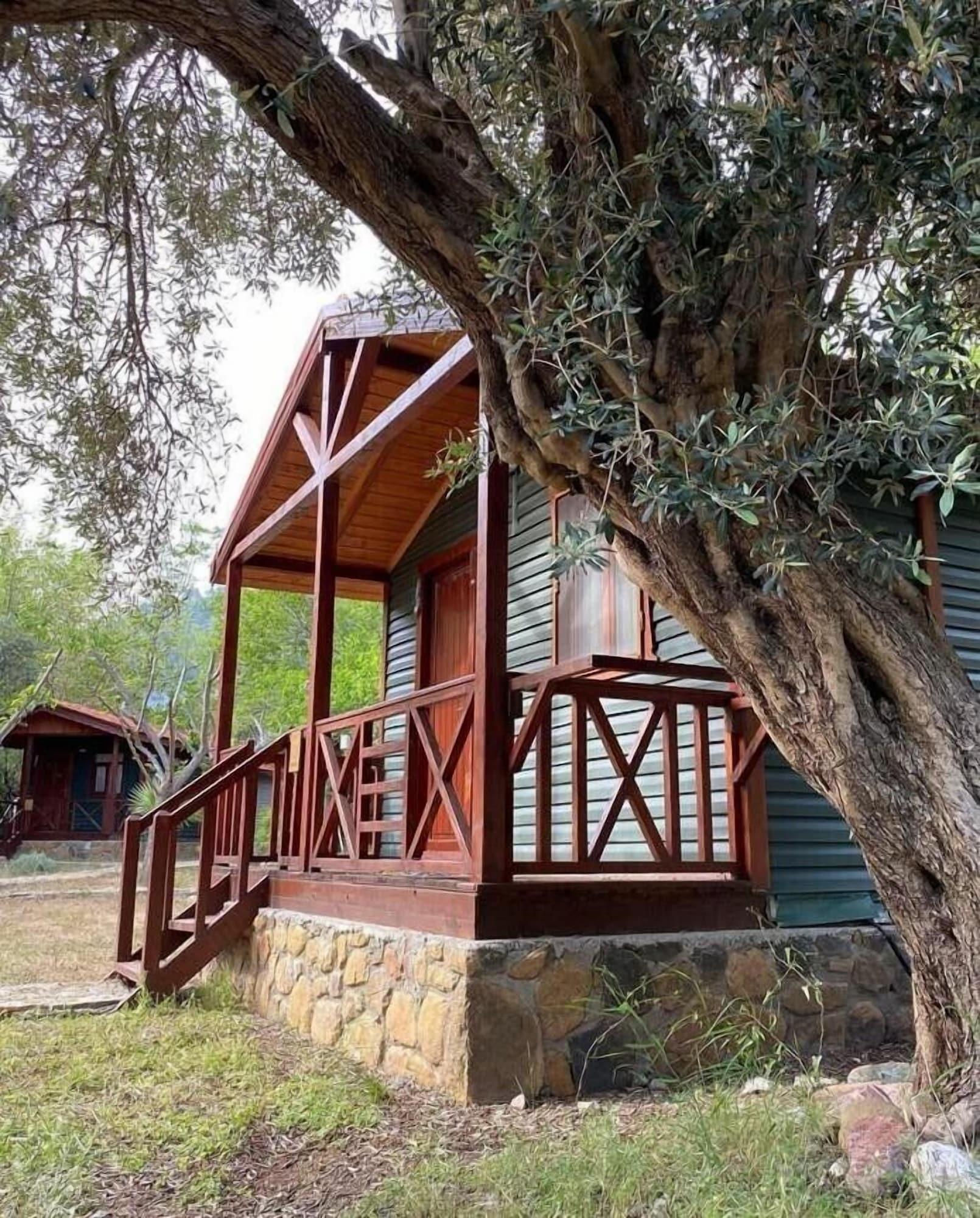 Habitación Eden Bungalows and Beach