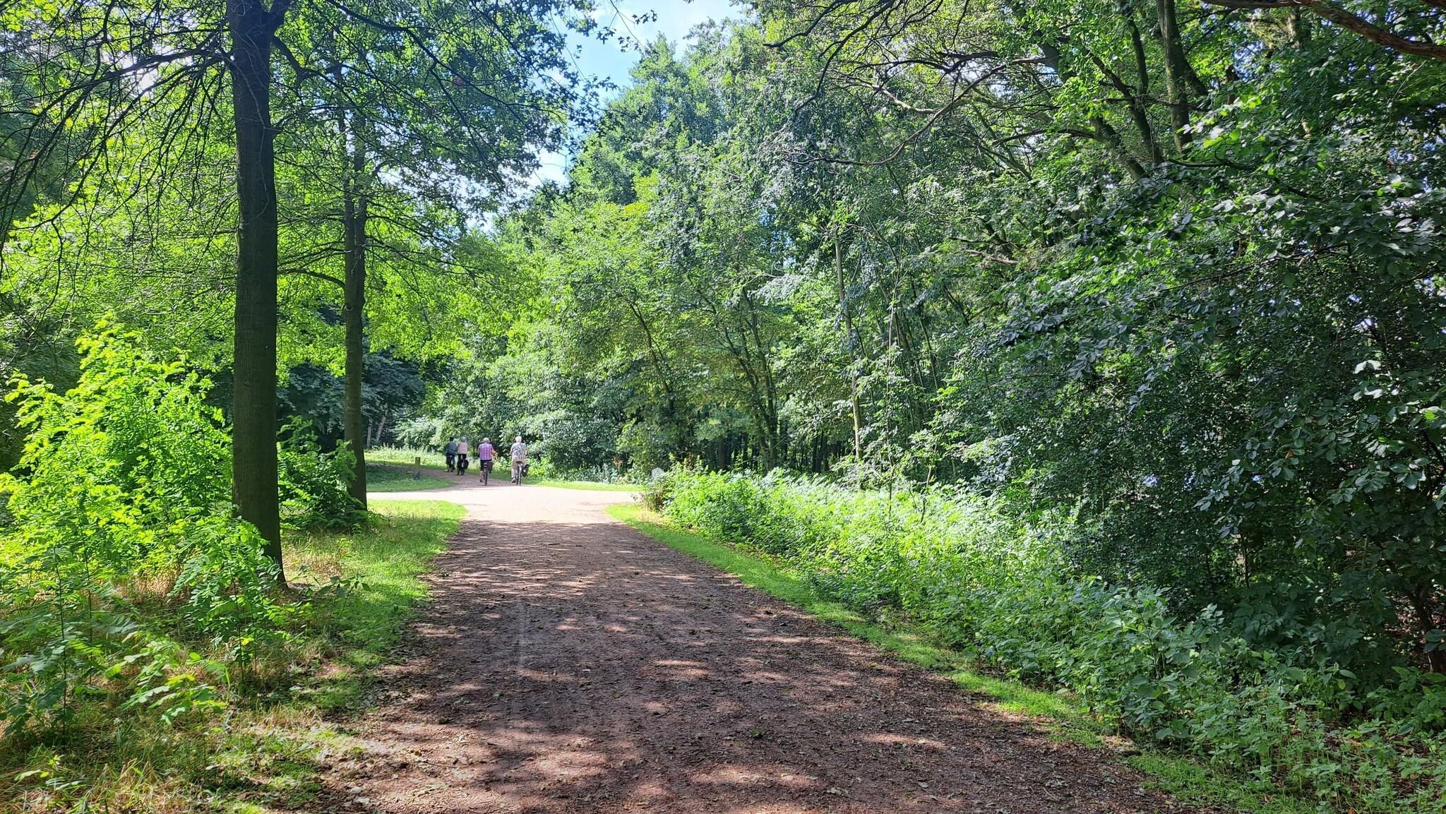 Instalaciones Recreativas Parkhotel Horst