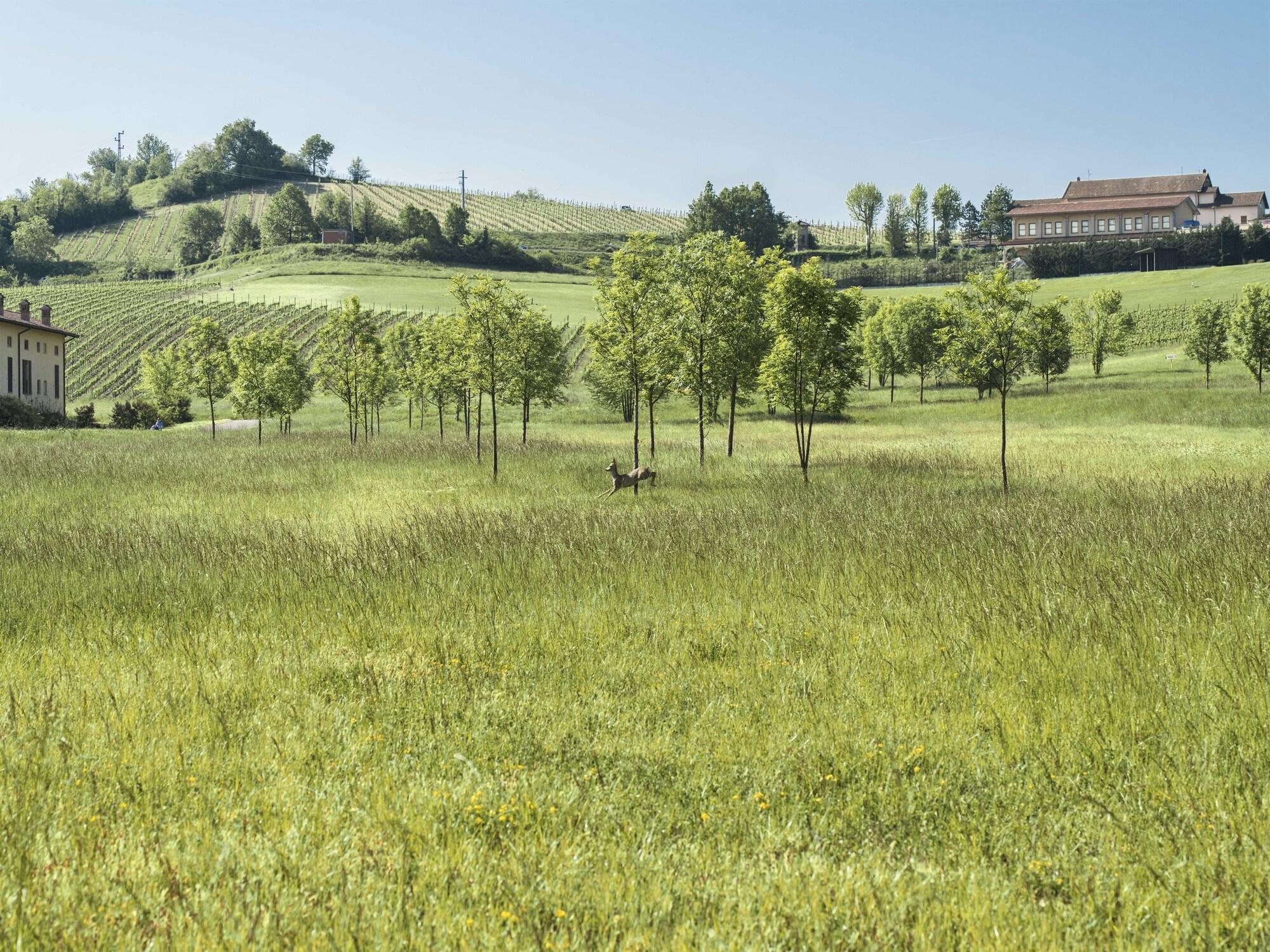 Campo de Golf Serravalle Golf Hotel