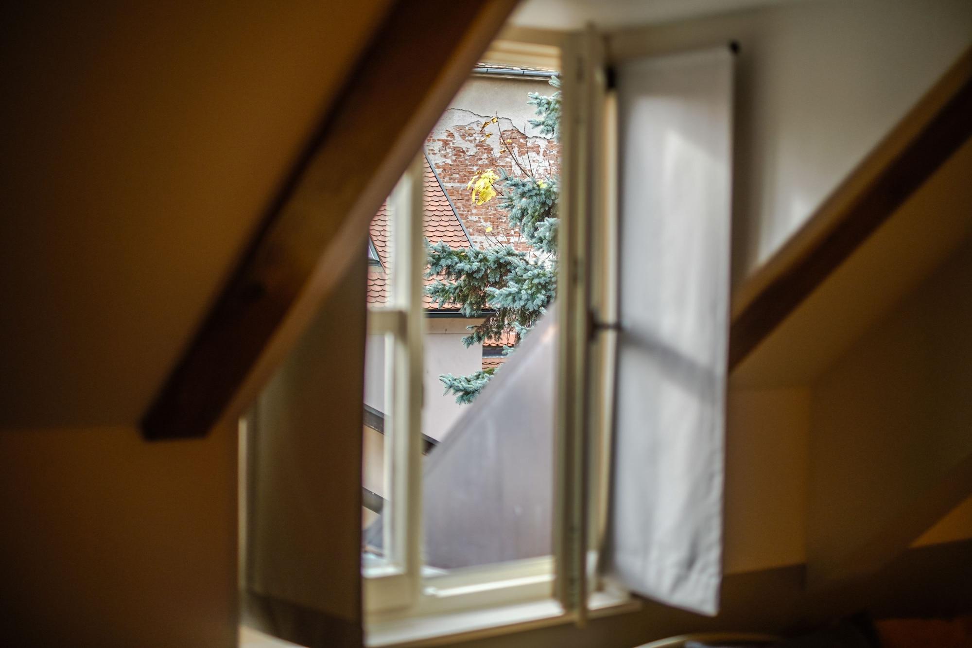 Equipamiento de Habitación Peacock Boutique Apartments