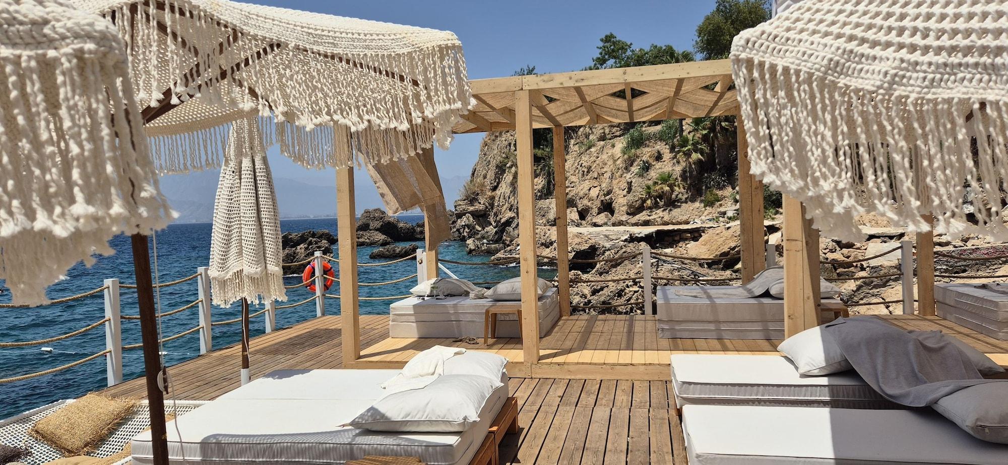 Playa Lucky Monkey Hotel