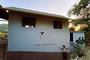 Alojamiento - Minca Seasons Birds
