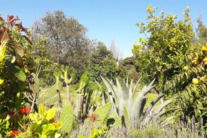 Alojamiento - Our Eco Hostel is an oasis of nature and peace to rest and enjoy.