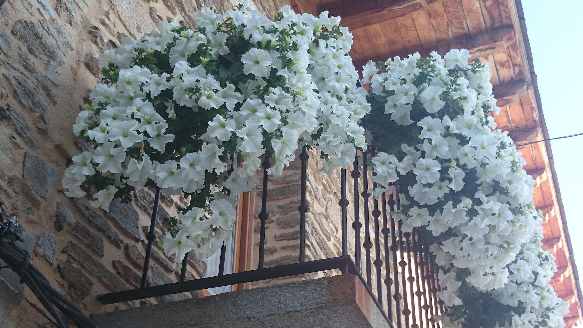 Vista Exterior Posada Real La Pascasia