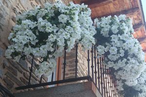 Alojamiento - Posada Real La Pascasia