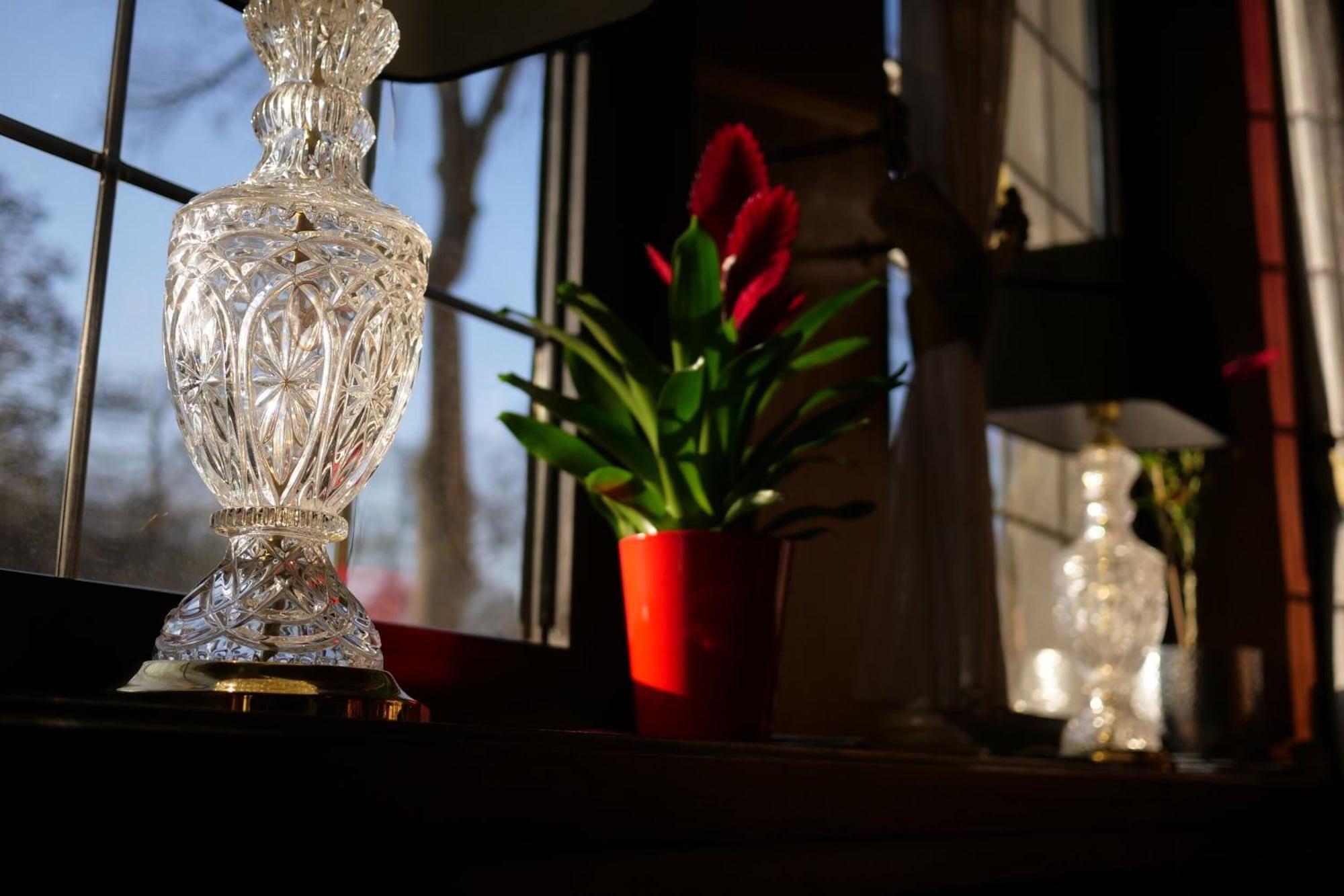 Comodidades del Alojamiento Parkhotel Bergheim