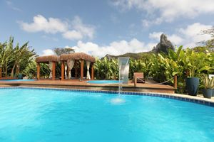Paquete - Dolphin Hotel
