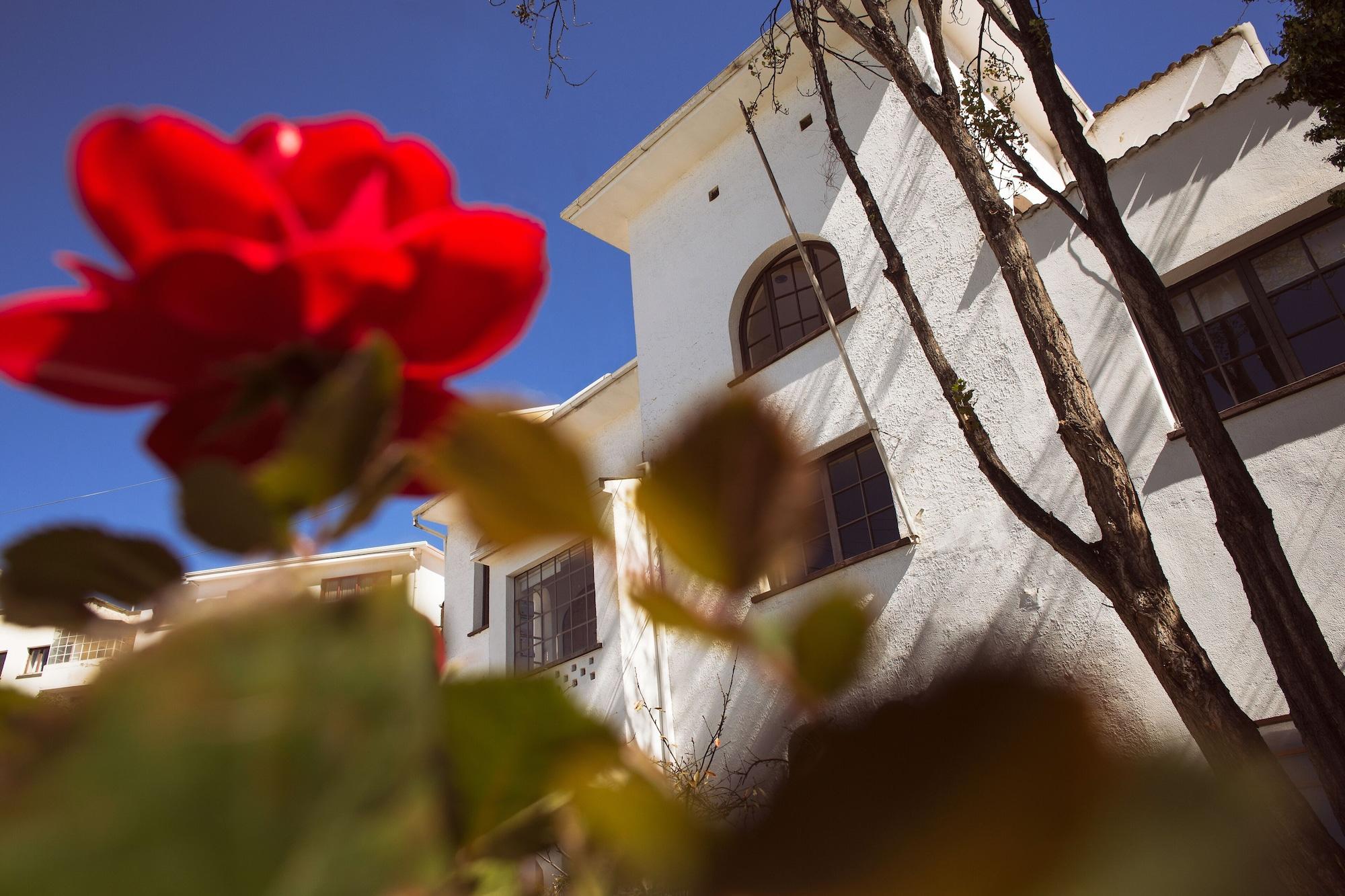 Vista Exterior El Museo Hotel Boutique