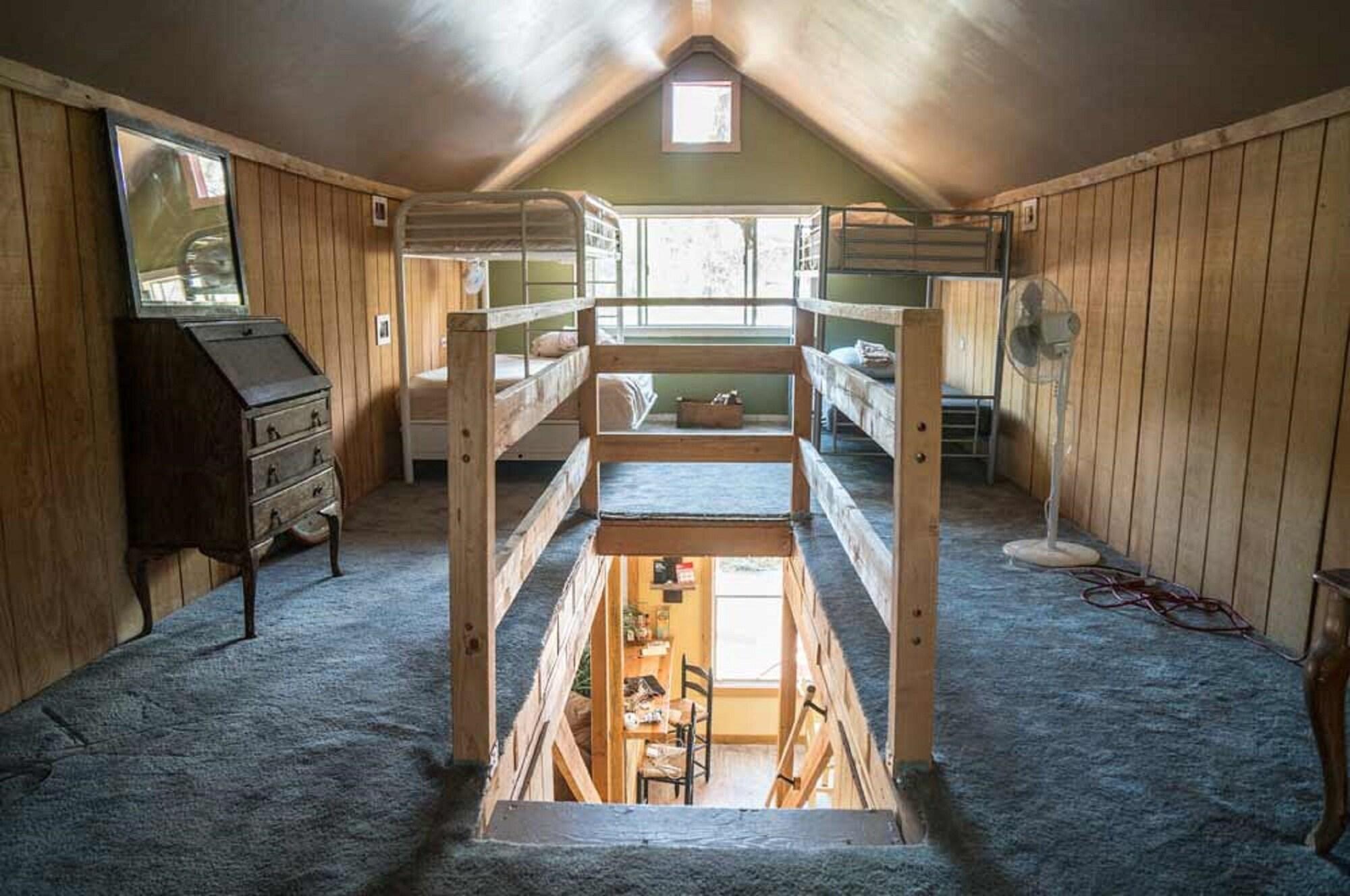 Habitación Jackass Hostel