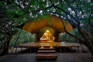 Alquiler Vacacional - Tribe Yala - Luxury Camping