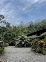 Alojamiento - Kuyana Amazon Lodge