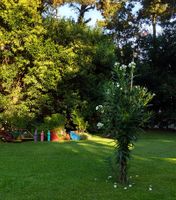 Alquiler Vacacional - La Bella Vida Apartamentos