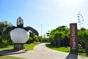 Actividad - Projeto Tamar com Tour de compras