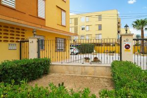 Alquiler Vacacional - Apartment Zeus in Platja de l Arenal
