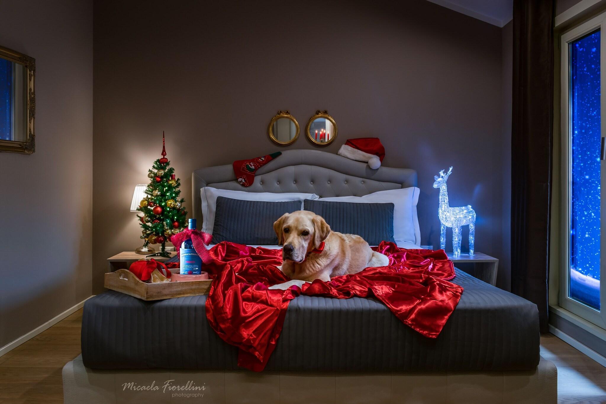 Vista Exterior 051 Room & Breakfast