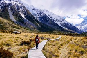 Actividad - Excursión de un día entero al monte Cook