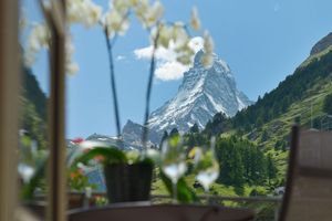 Alojamiento - Mont Cervin Palace
