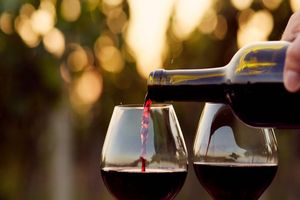 Actividad - Flavors of Querétaro: Wine and Organic Cheese Experience – Full-Day Tour