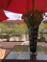 Alojamiento - San Blas Hotel & Suites Ecuador