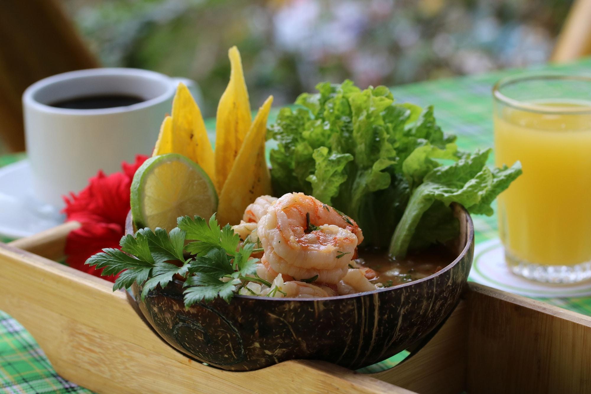 Restaurant Nativa Bambu Ecolodge