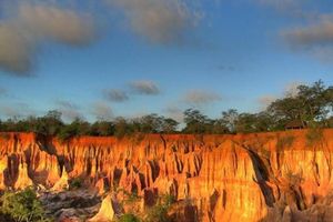 Actividad - Excursión de un día a Malindi
