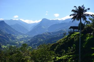 Alojamiento - Hotel El Mirador del Cocora