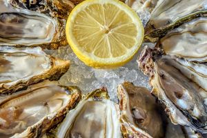 Activity - Montpellier Wine + Oyster Tasting Tour
