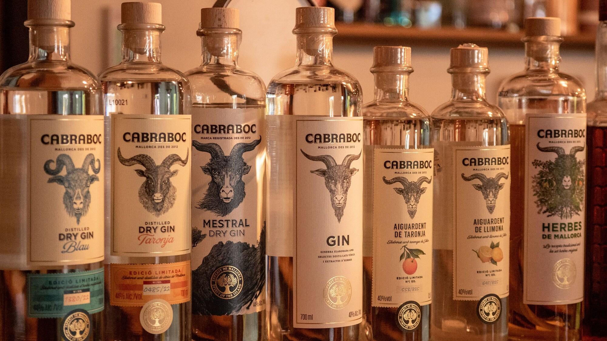 Bar/Salón Nou Dalt Muntanya Rural Hotel