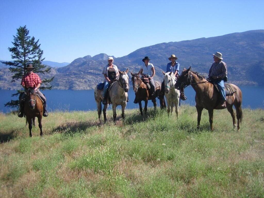 Gimnasio Wildhorse Mountain Guest Ranch