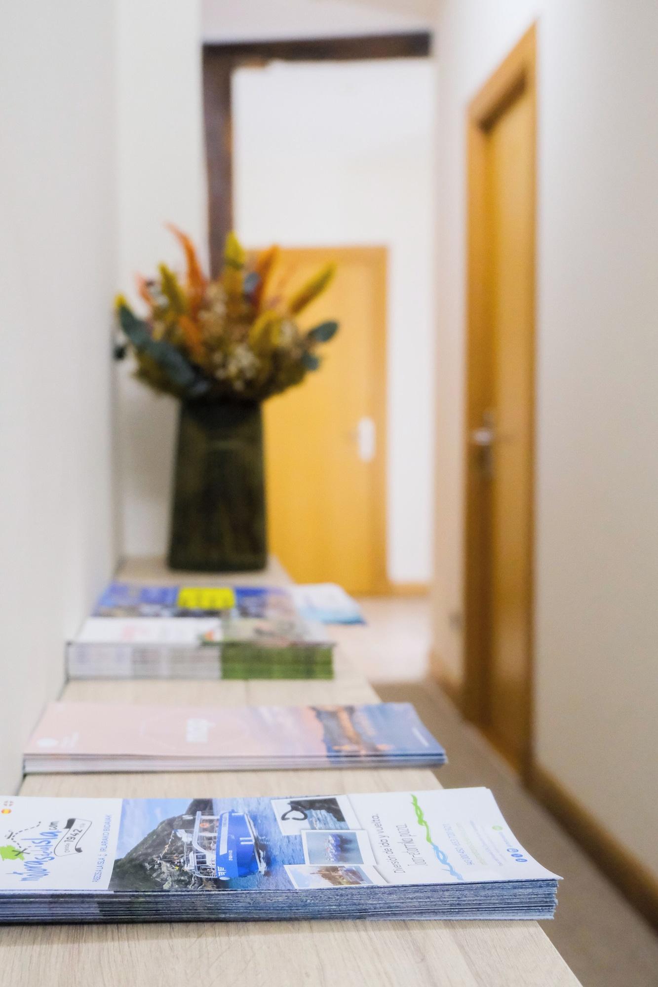 Vista Lobby Pensión Artea