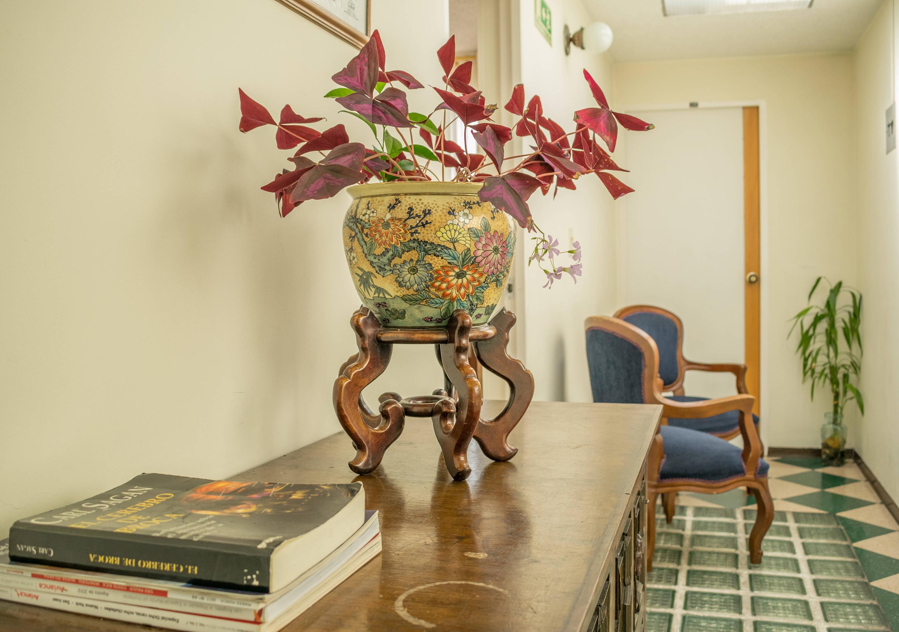 Vista Lobby Ayenda Casa Hostal del Norte